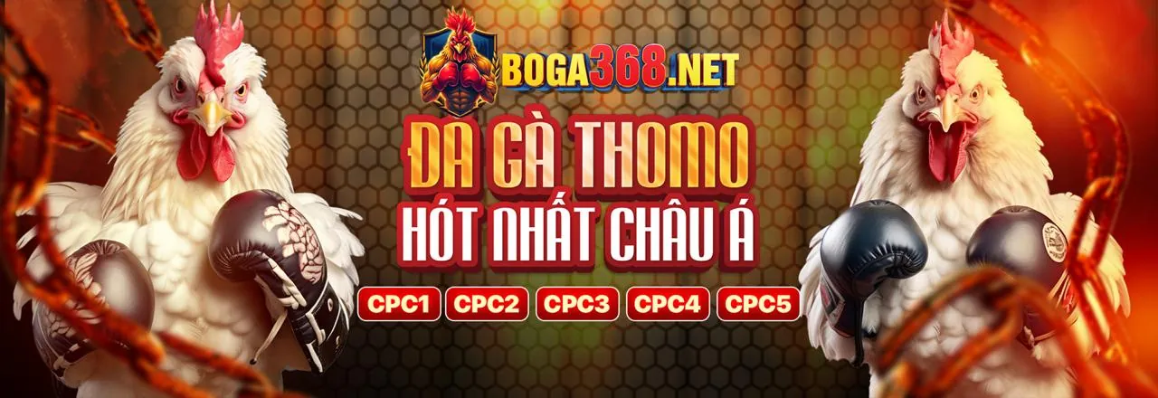 Đá gà trực tuyến kịch tính tại win tài xỉu