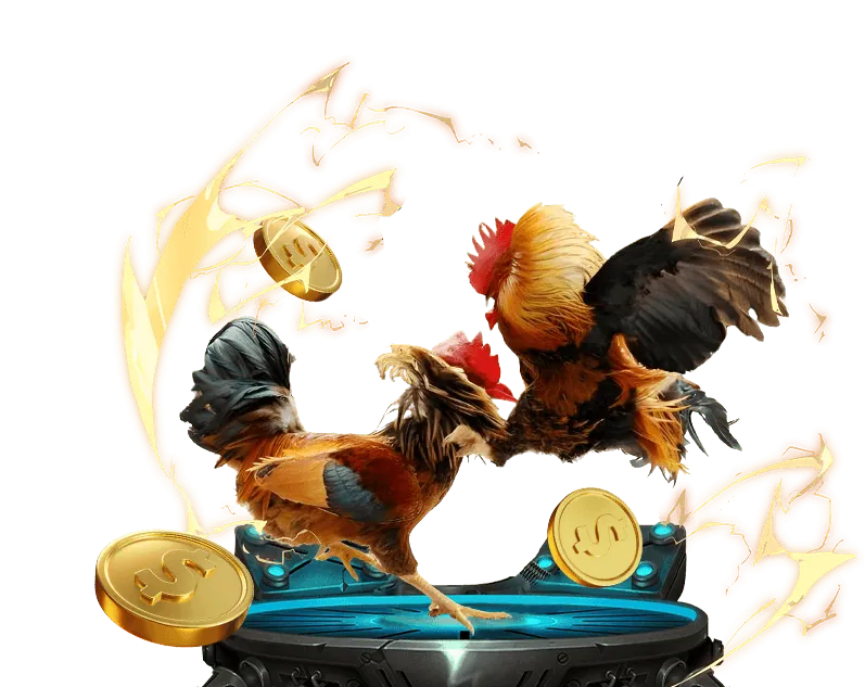 Các tính năng bonus và khuyến mãi slot